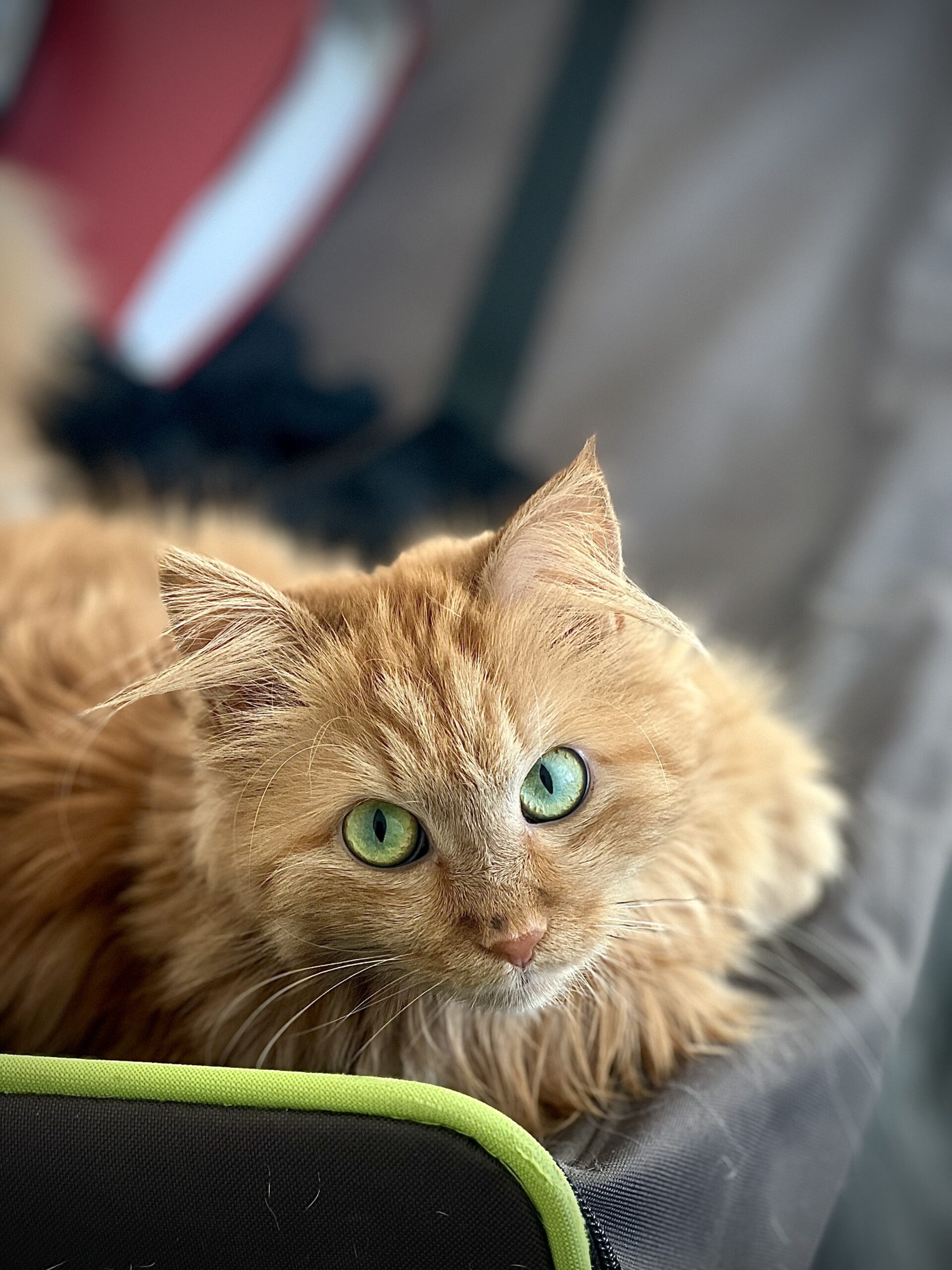 Home IMG 9422 Scaled